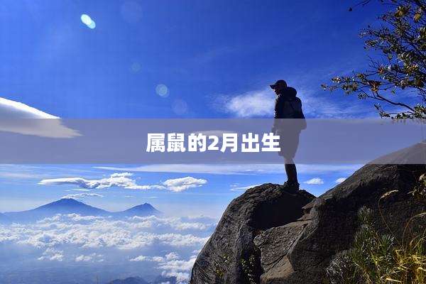 属鼠的2月出生