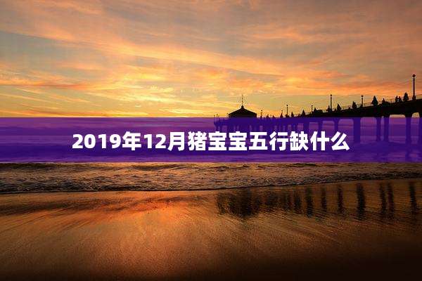 2019年12月猪宝宝五行缺什么