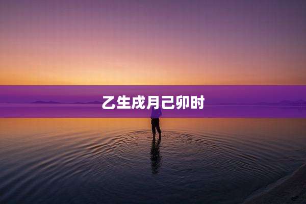 乙生戌月己卯时