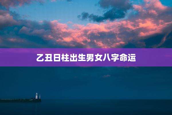 乙丑日柱出生男女八字命运