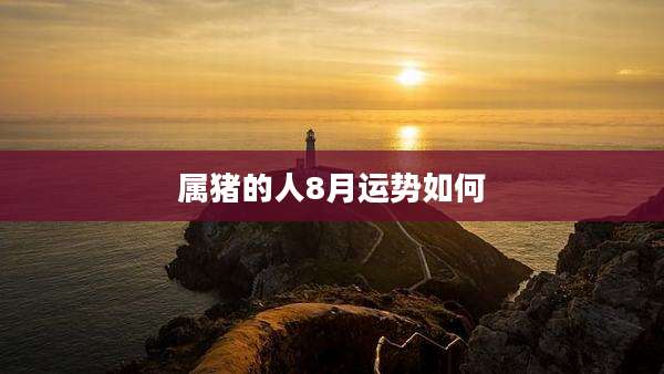 属猪的人8月运势如何