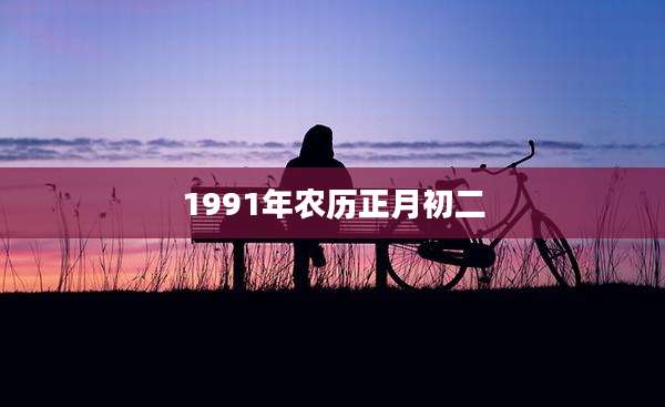 1991年农历正月初二