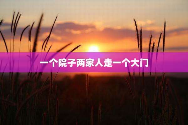 一个院子两家人走一个大门