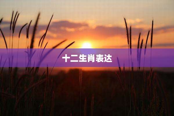 十二生肖表达
