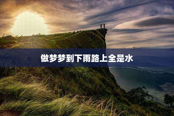 做梦梦到下雨路上全是水