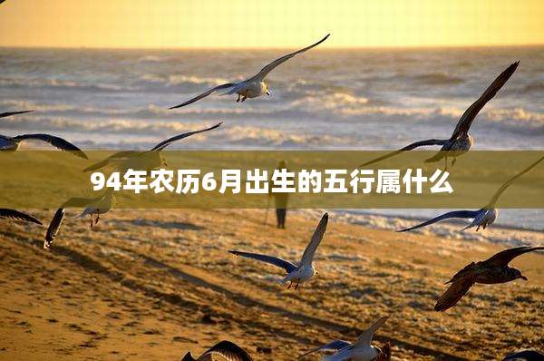94年农历6月出生的五行属什么