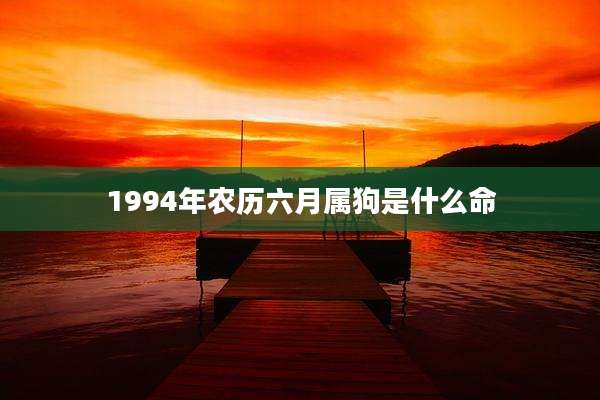 1994年农历六月属狗是什么命