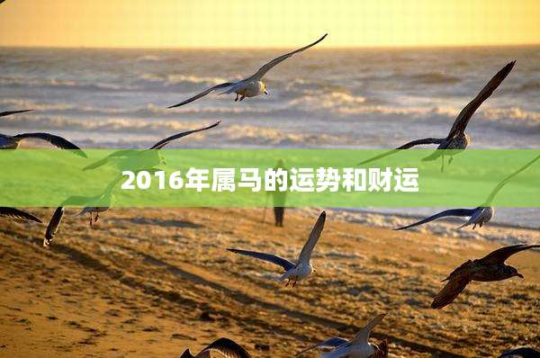 2016年属马的运势和财运