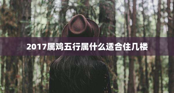 2017属鸡五行属什么适合住几楼