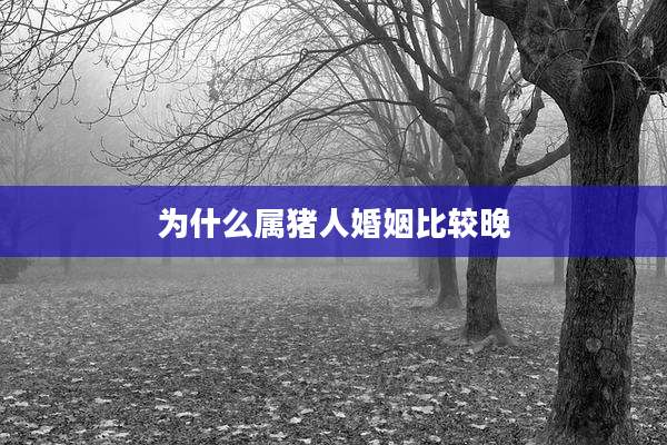 为什么属猪人婚姻比较晚