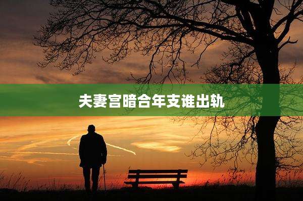 夫妻宫暗合年支谁出轨