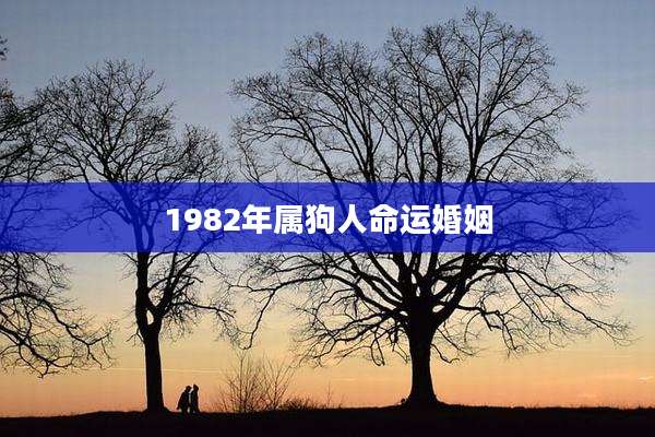 1982年属狗人命运婚姻