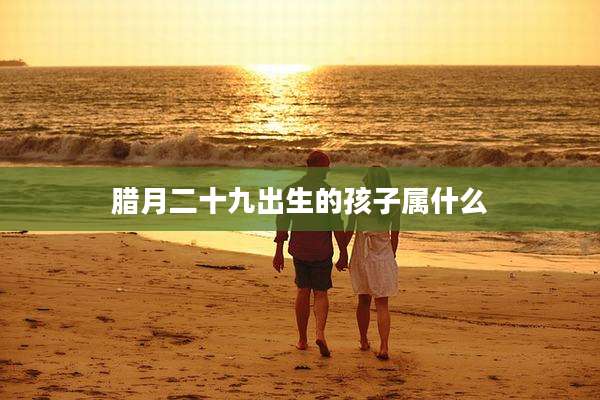 腊月二十九出生的孩子属什么