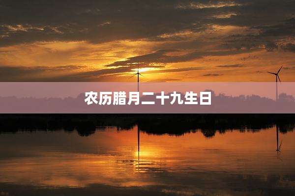 农历腊月二十九生日