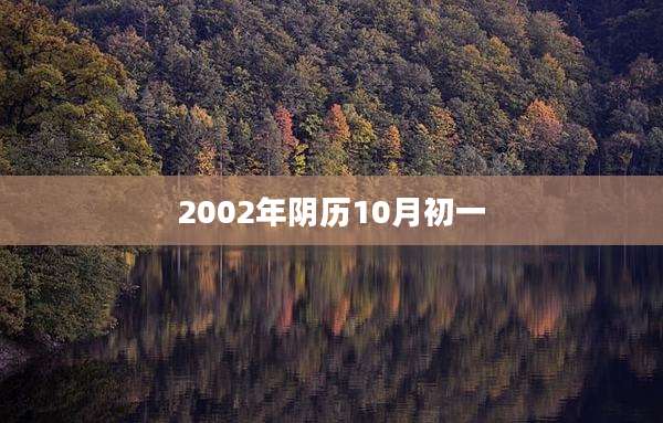 2002年阴历10月初一
