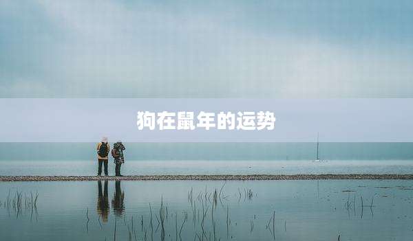 狗在鼠年的运势