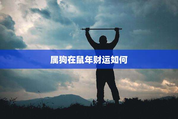 属狗在鼠年财运如何