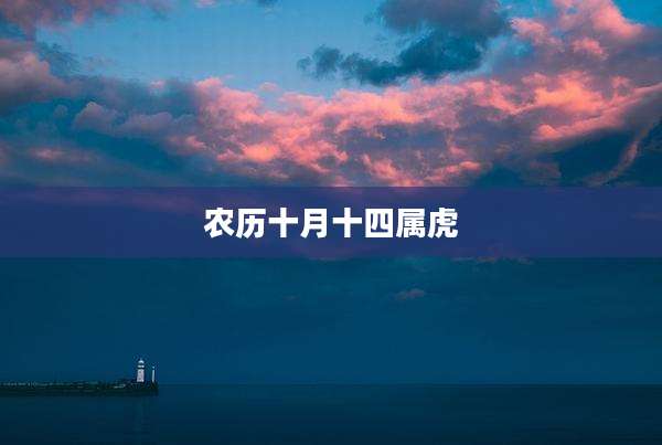 农历十月十四属虎