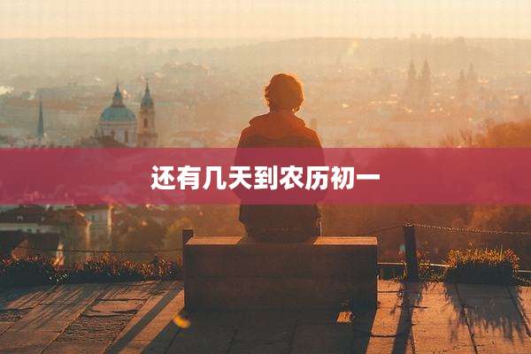 还有几天到农历初一