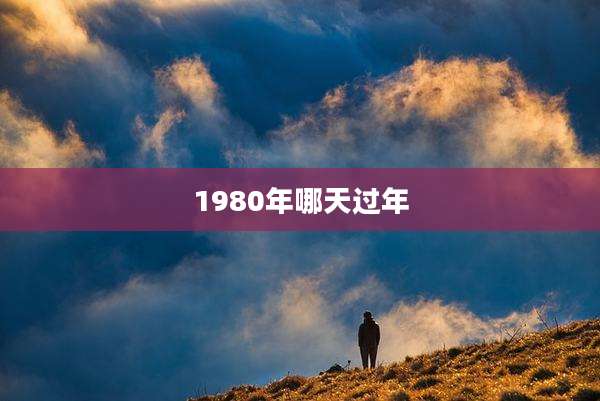 1980年哪天过年
