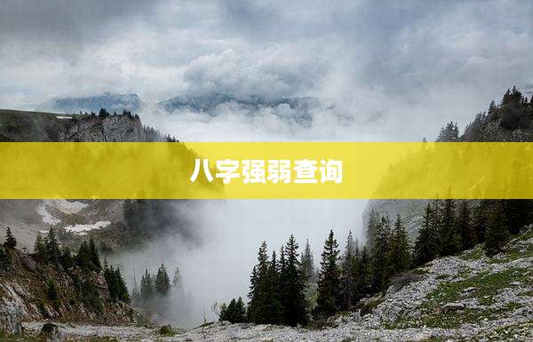 八字强弱查询