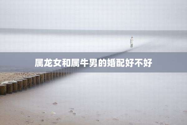 属龙女和属牛男的婚配好不好
