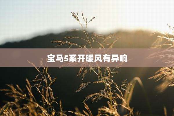 宝马5系开暖风有异响