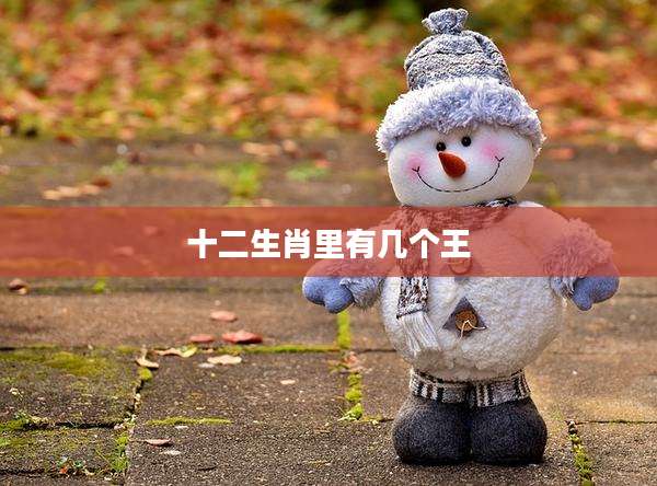 十二生肖里有几个王