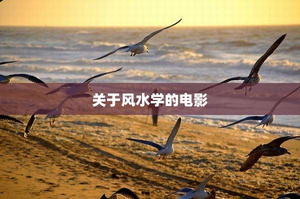 关于风水学的电影