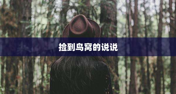 捡到鸟窝的说说