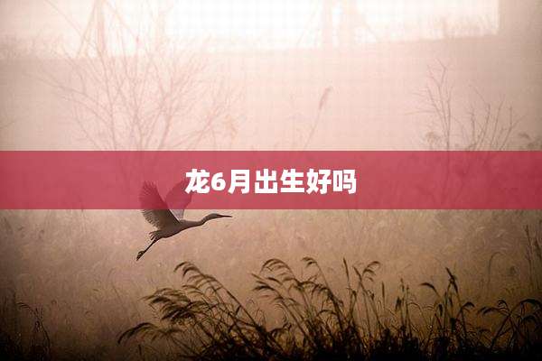 龙6月出生好吗