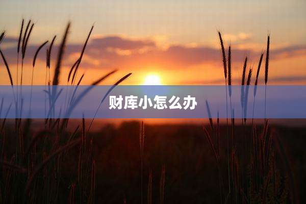 财库小怎么办