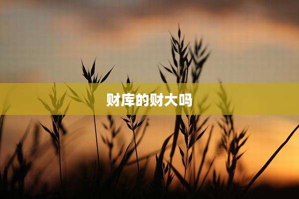 财库的财大吗
