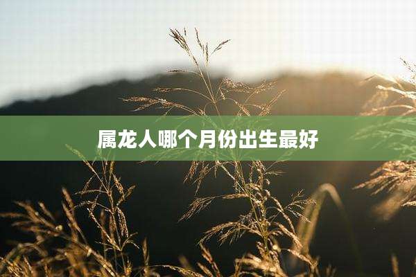 属龙人哪个月份出生最好