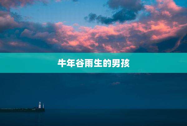 牛年谷雨生的男孩