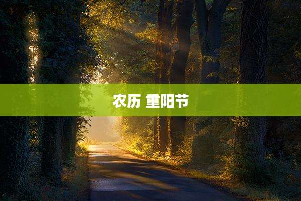 农历 重阳节