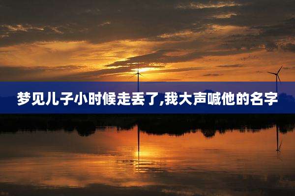 梦见儿子小时候走丢了,我大声喊他的名字