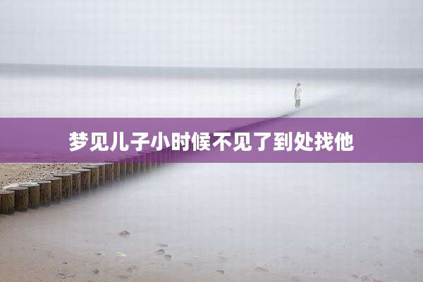 梦见儿子小时候不见了到处找他