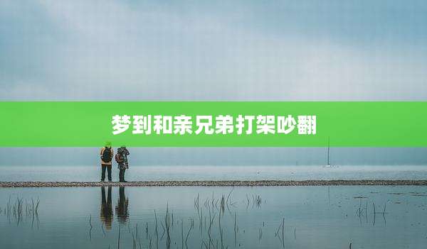 梦到和亲兄弟打架吵翻