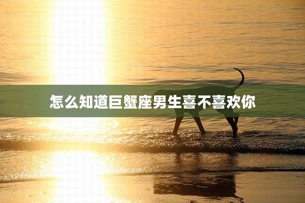 怎么知道巨蟹座男生喜不喜欢你