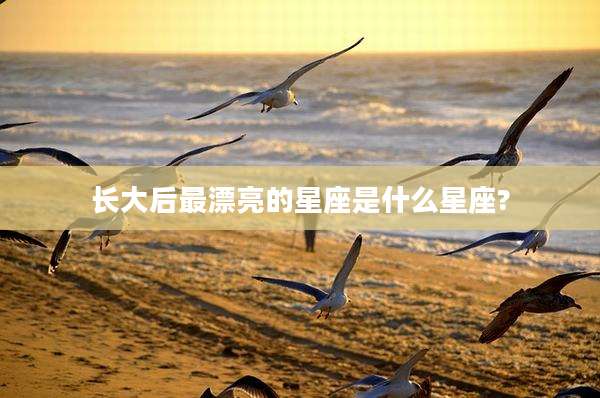 长大后最漂亮的星座是什么星座?