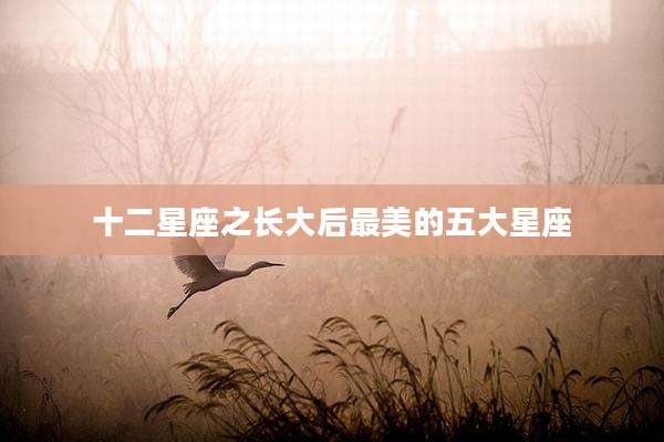 十二星座之长大后最美的五大星座
