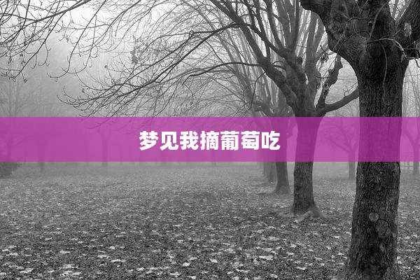梦见我摘葡萄吃