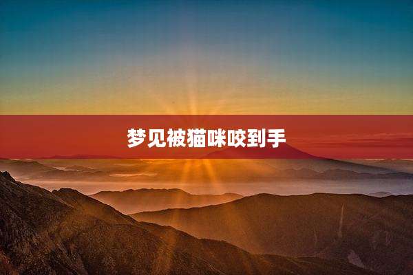 梦见被猫咪咬到手
