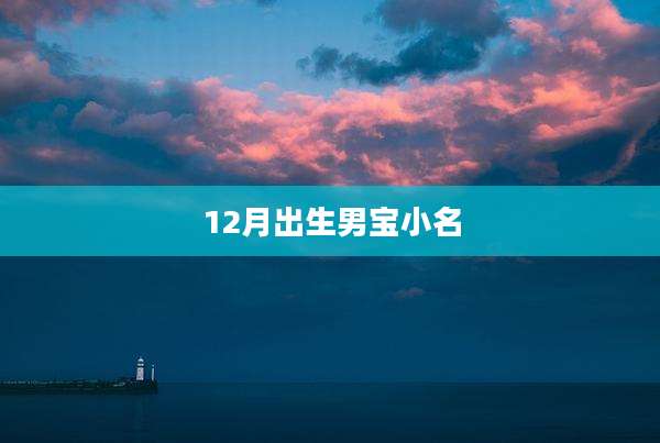 12月出生男宝小名