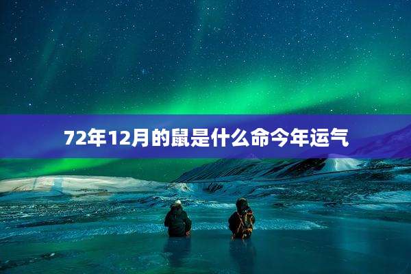 72年12月的鼠是什么命今年运气