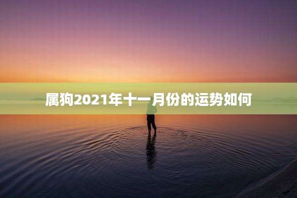 属狗2021年十一月份的运势如何