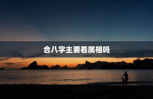合八字主要看属相吗