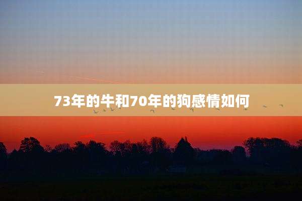 73年的牛和70年的狗感情如何