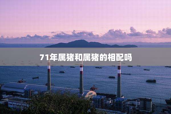 71年属猪和属猪的相配吗